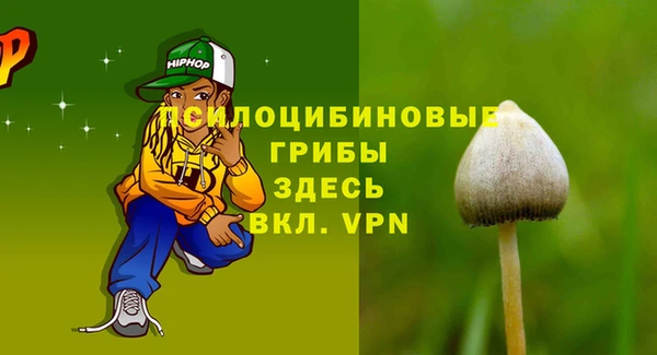 кокс Аркадак