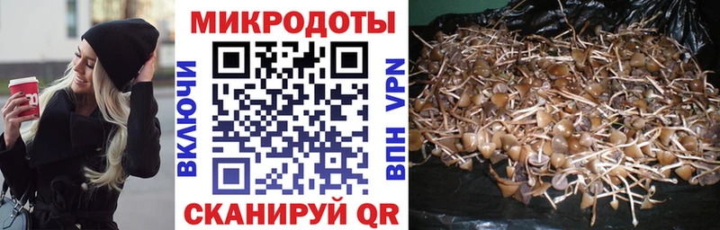 Псилоцибиновые грибы GOLDEN TEACHER  Усть-Илимск 